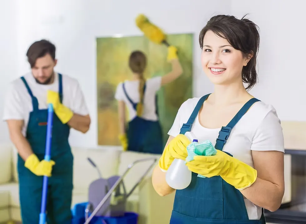 Cleaning employee of Zuiver